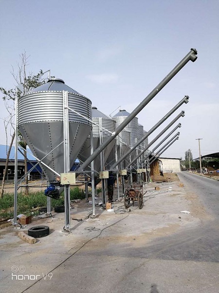 畜牧業(yè)養(yǎng)殖戶選擇料塔料線的四點(diǎn)原因！