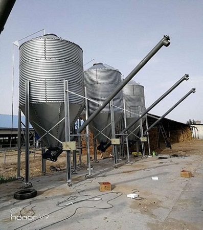 在養(yǎng)豬場的料塔料線，我們應(yīng)該怎樣維護(hù)與保養(yǎng)！